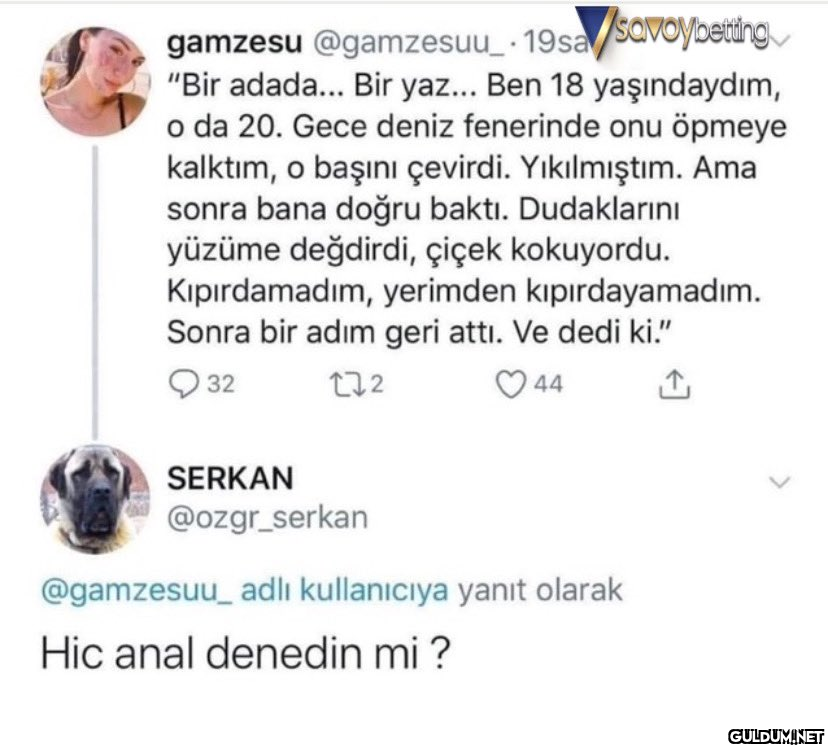 savoybetting gamzesu...