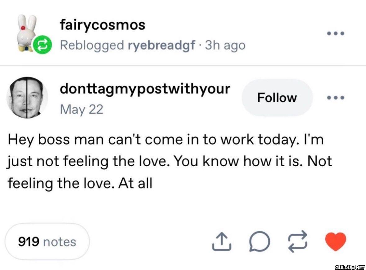 fairycosmos Reblogged...