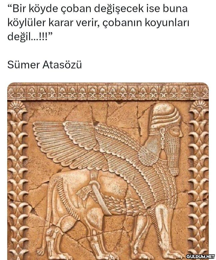 @sjw_erlik...