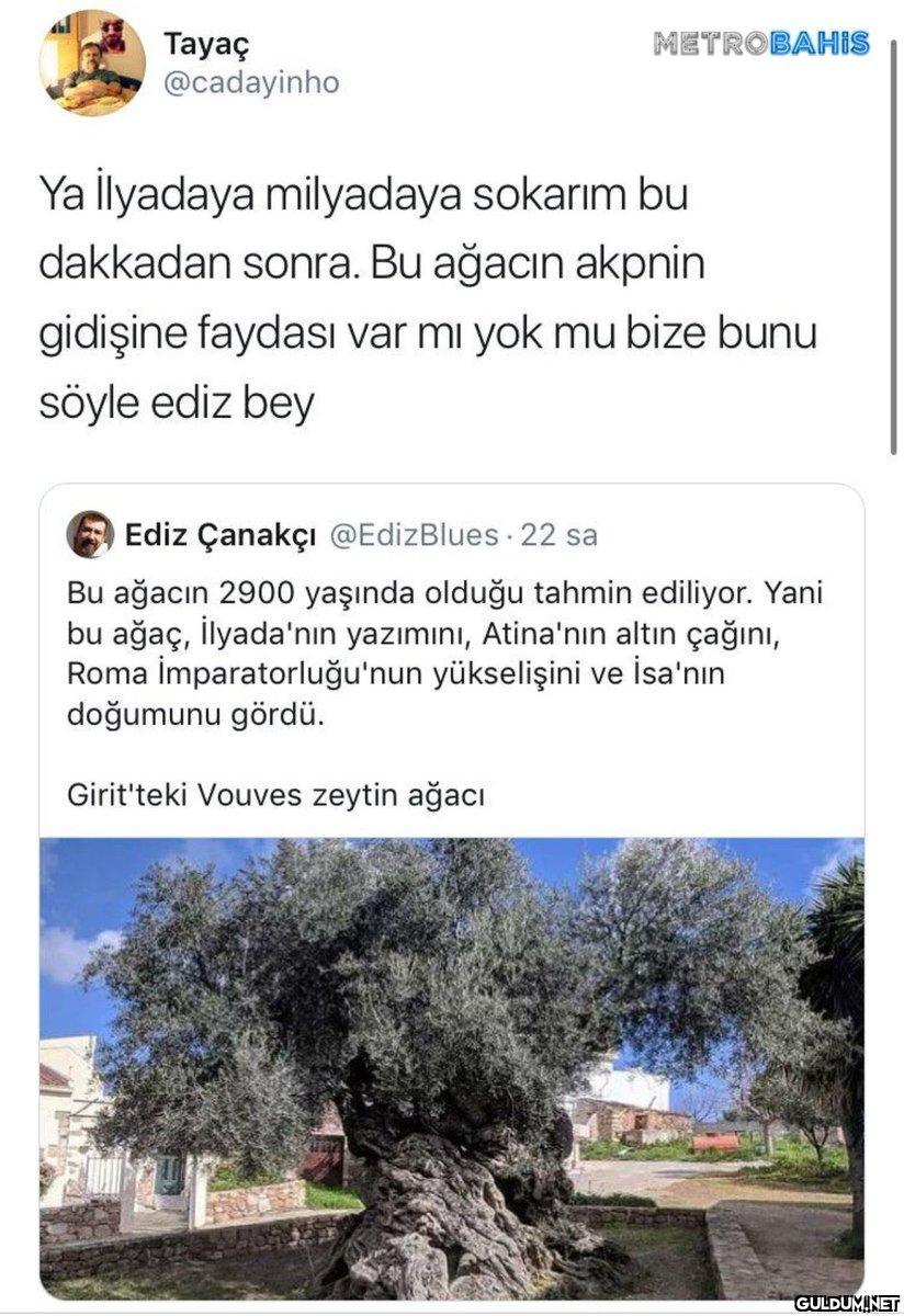 Tayaç @cadayinho Ya...