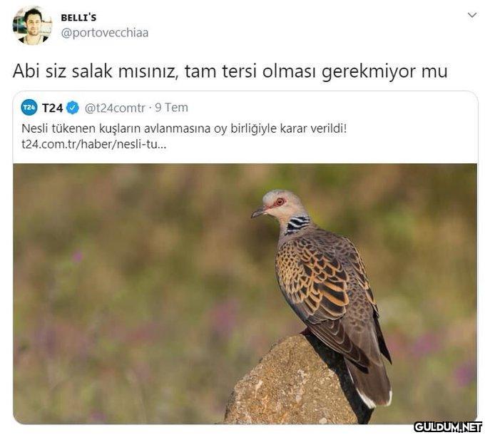 BELLI'S @portovecchiaa Abi...