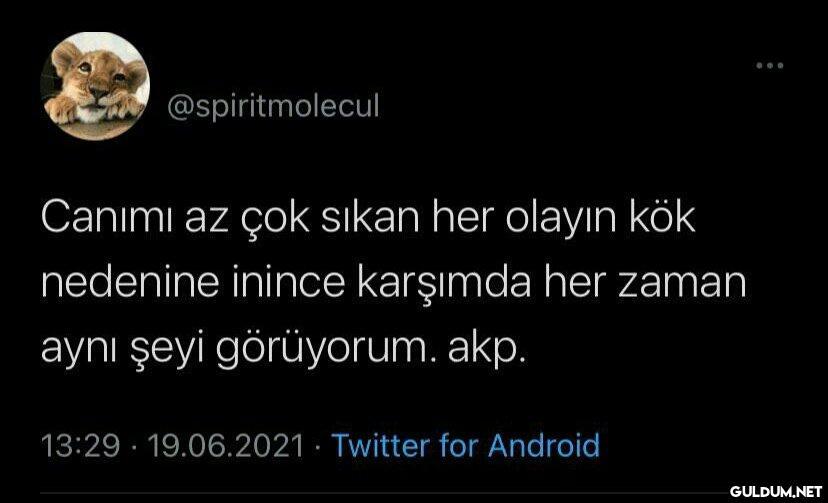 @spiritmolecul Canımı az...