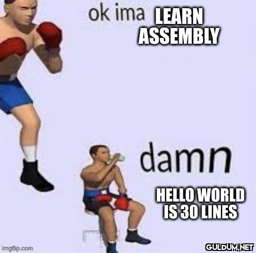 Learning ASM be like...