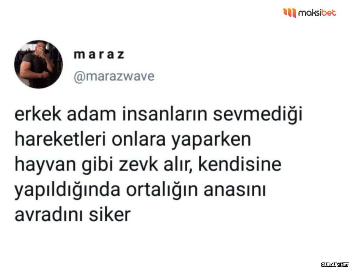 maraz @marazwave maksibet...