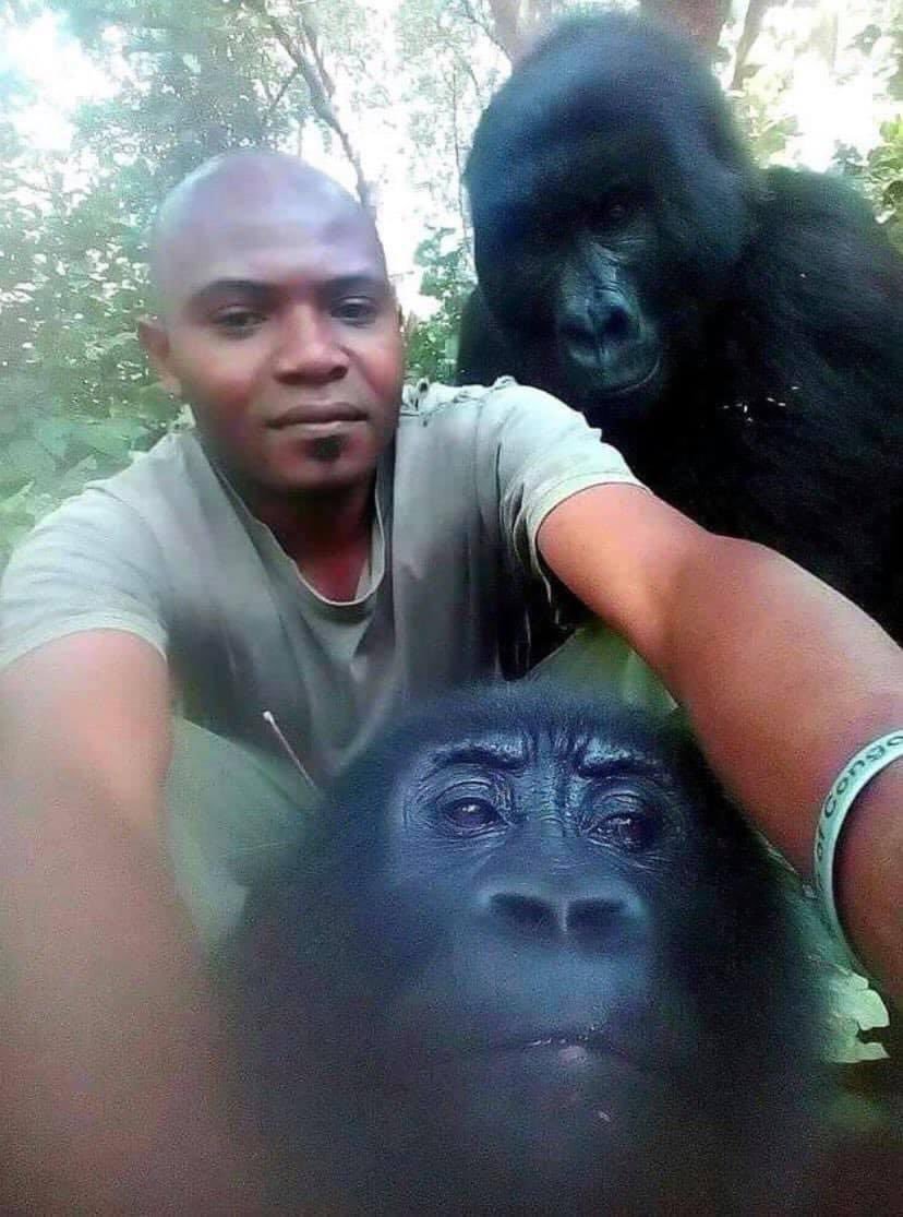 🦍 Kongo'da kendilerini...