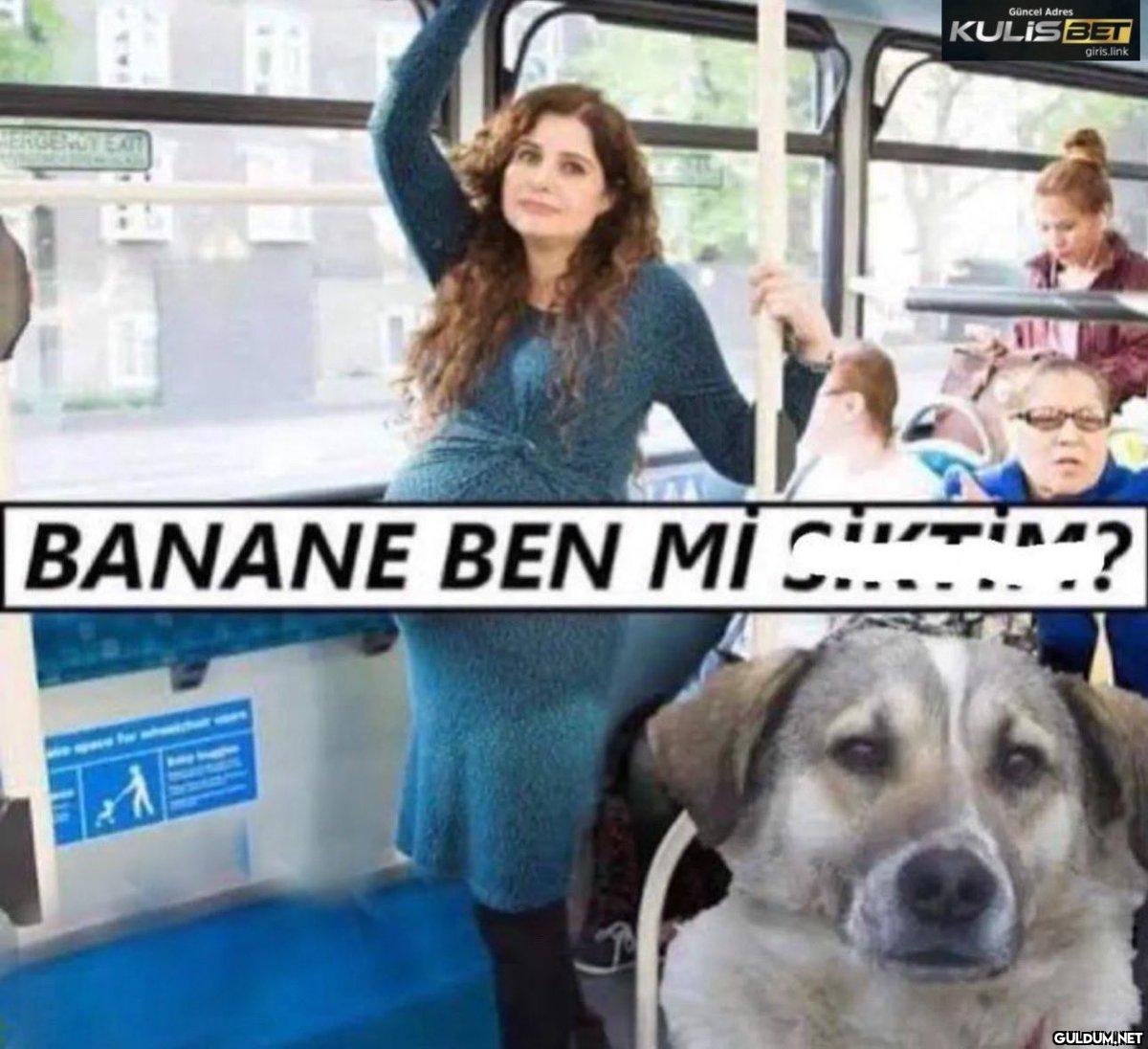 BANANE BEN Mİ Cİ Güncel...