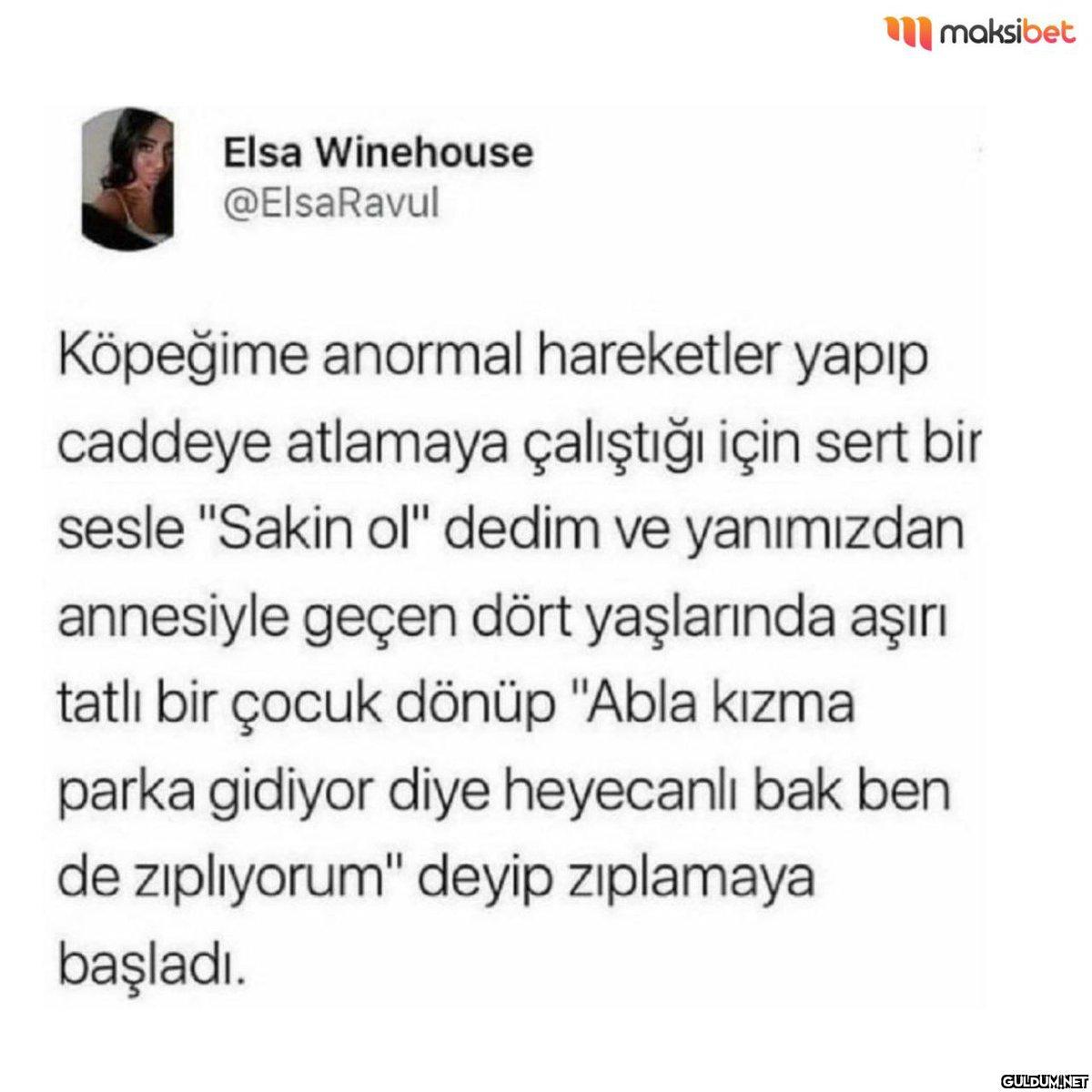 Elsa Winehouse @ElsaRavul...
