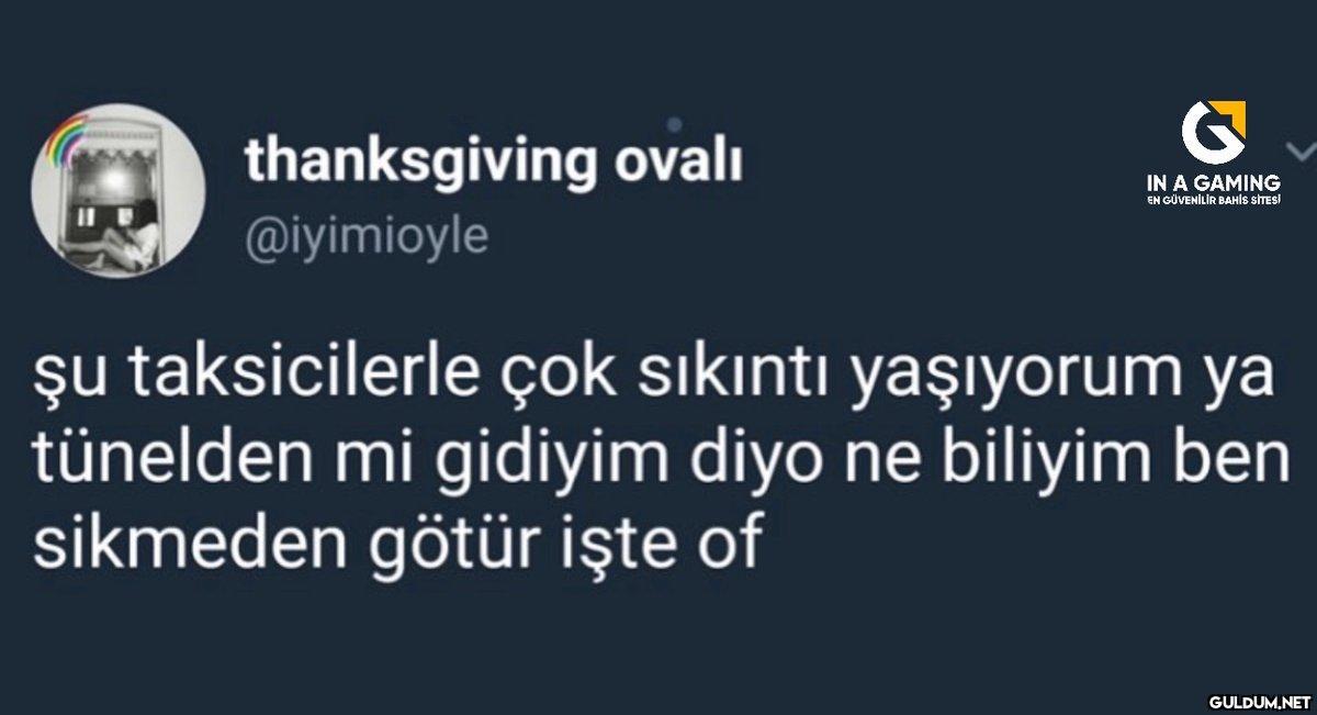 thanksgiving ovalı...