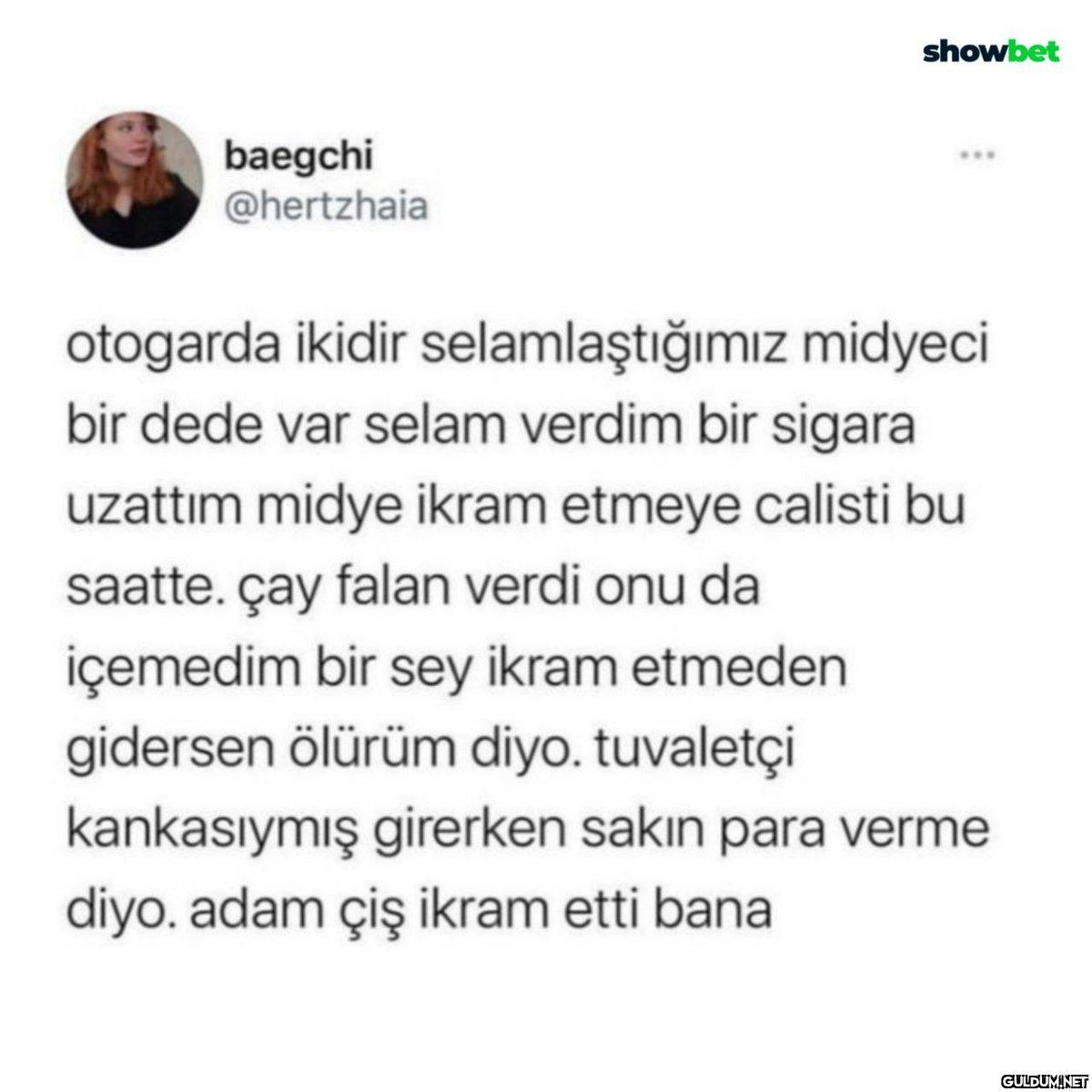 baegchi @hertzhaia showbet...