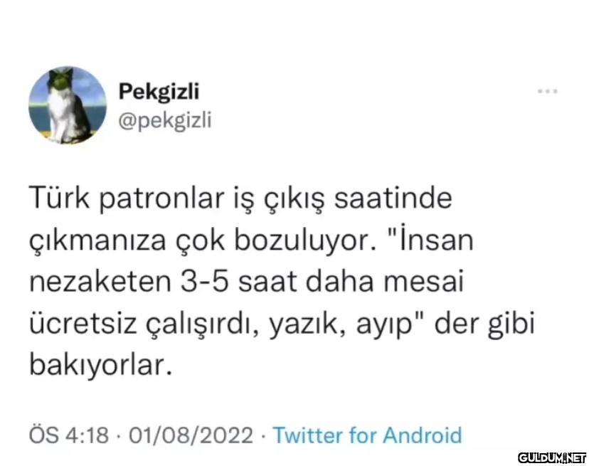 Pekgizli @pekgizli Türk...