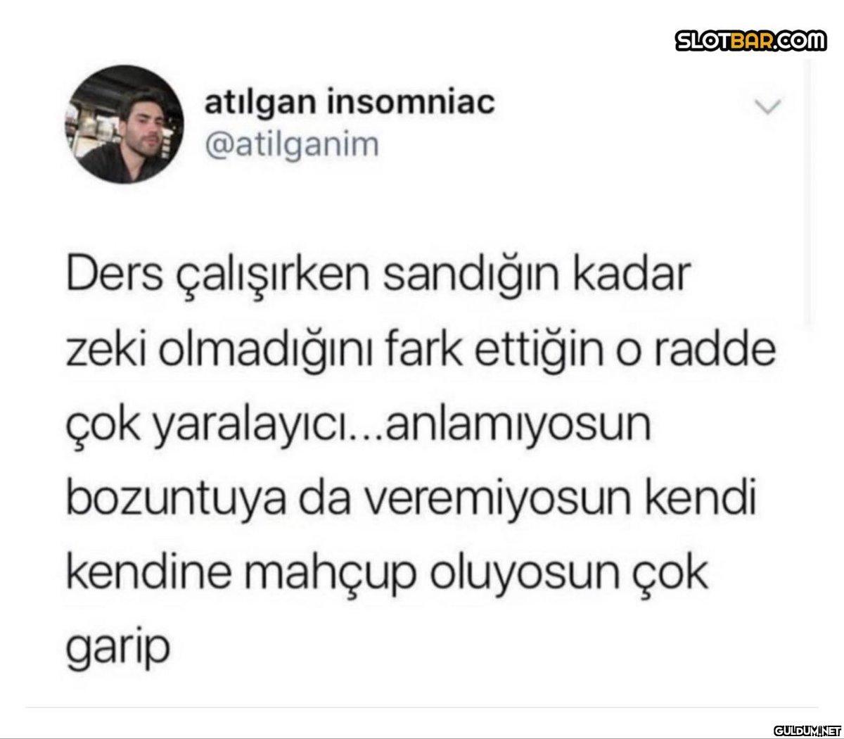 atılgan insomniac...