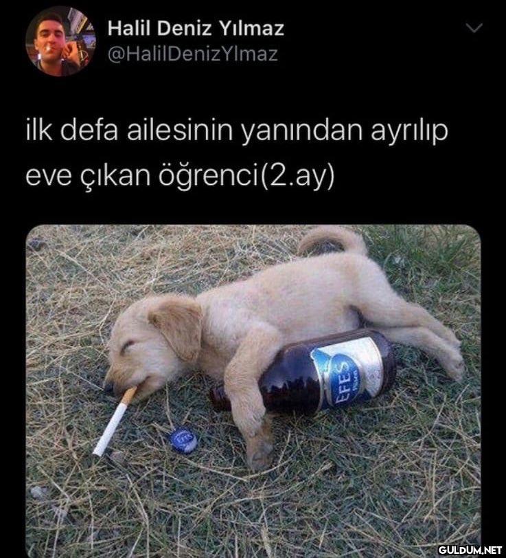 Halil Deniz Yılmaz...