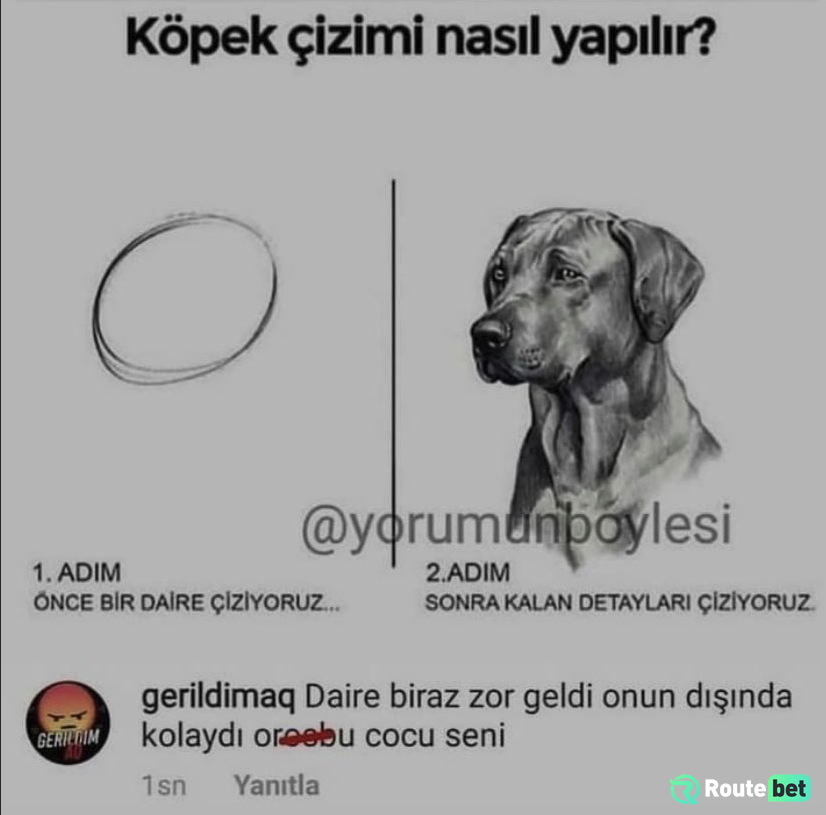 Köpek çizimi nasıl...