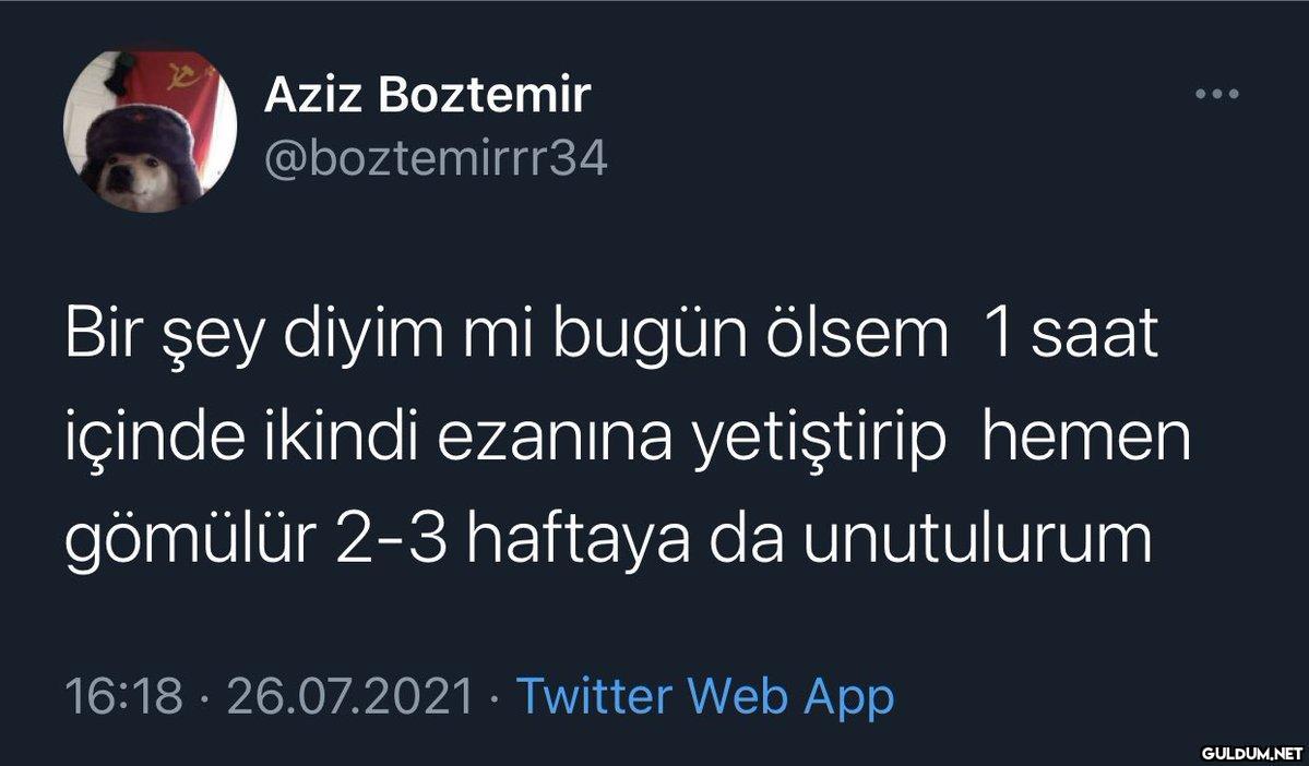 z Aziz Boztemir...