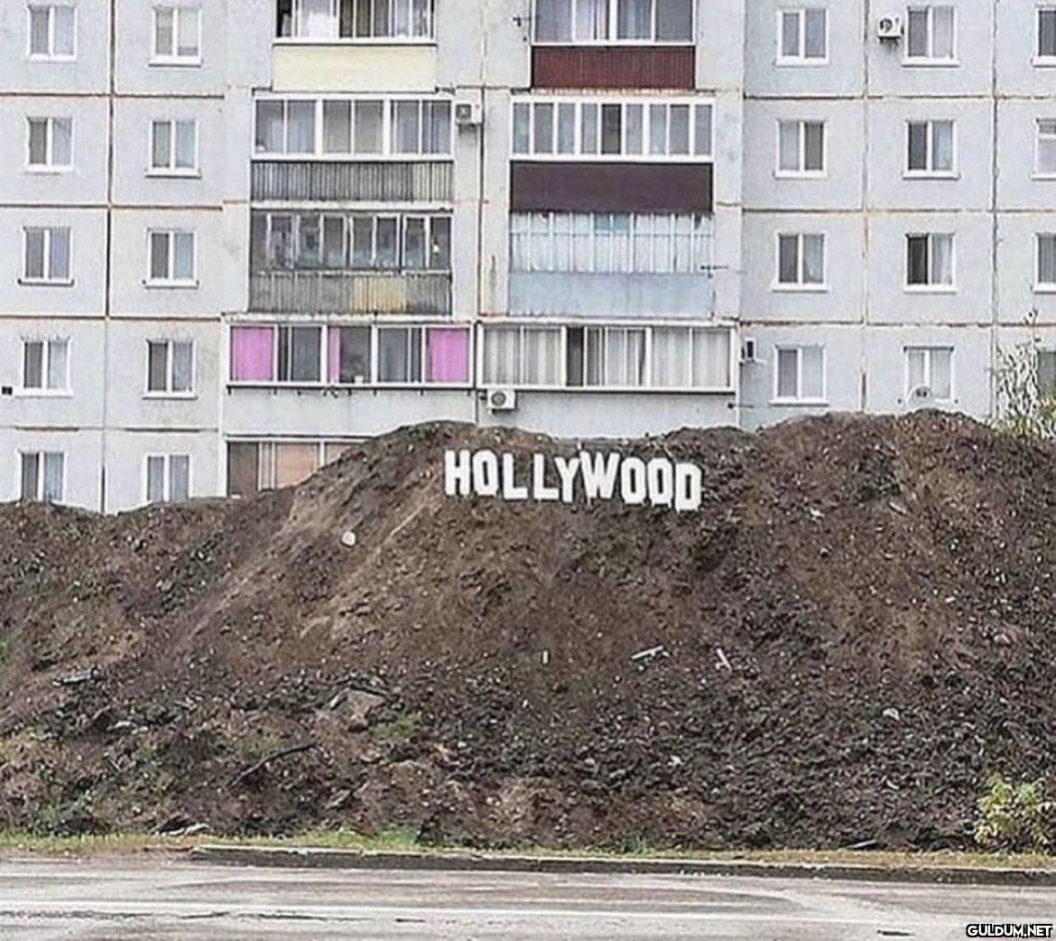 HOLLYWOOD   Kaynak