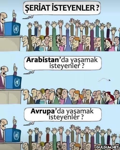 ŞERİAT İSTEYENLER?...