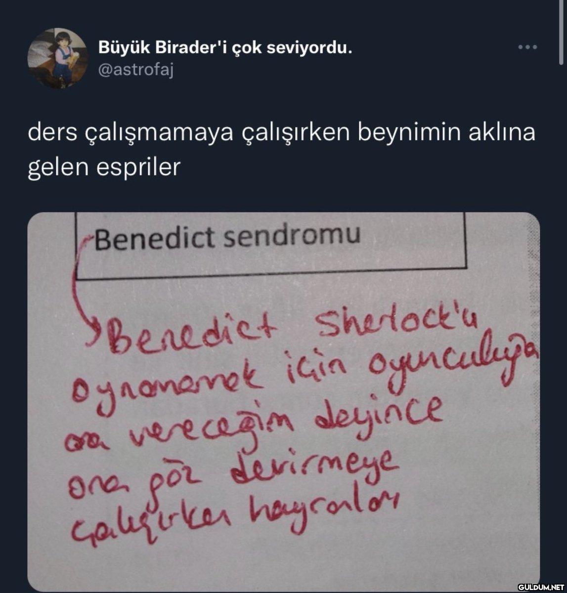 Büyük Birader'i çok...