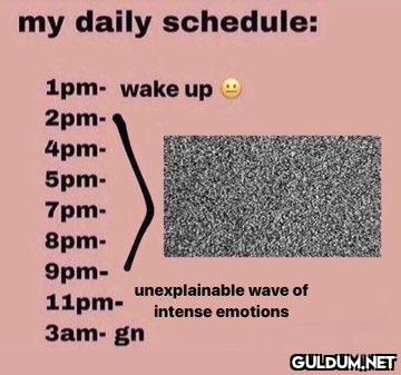 my daily schedule: 1pm-...