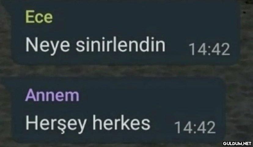 534-) her şeye herkese...