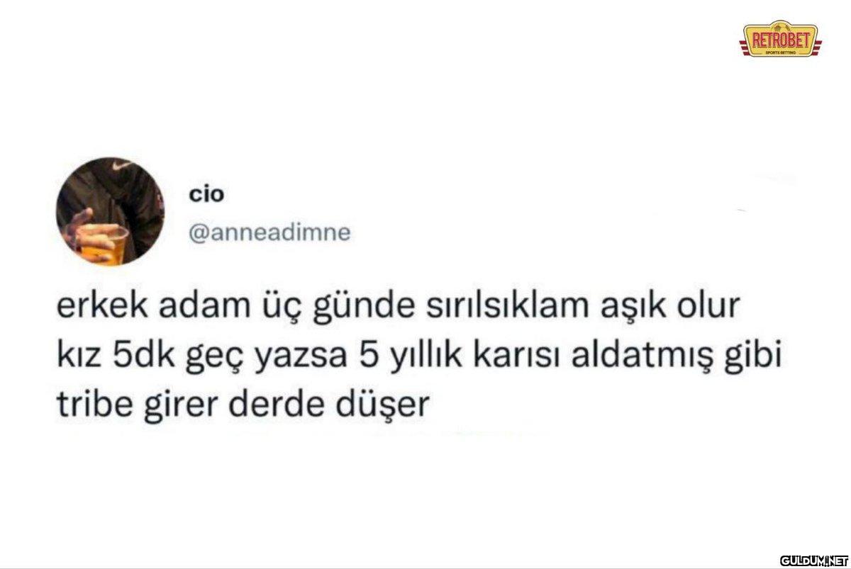 cio @anneadimne RETROBET...