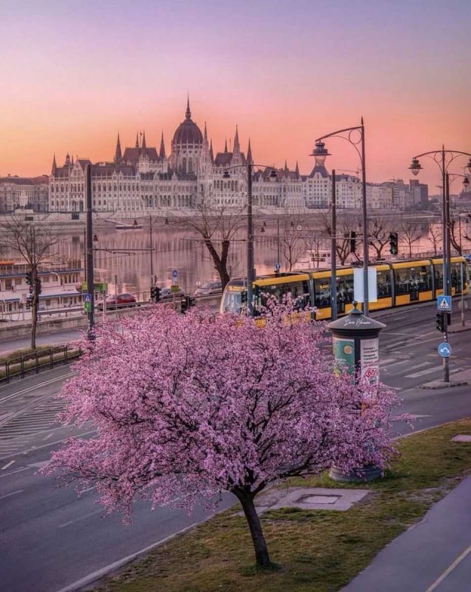 🇭🇺Budapeşte....