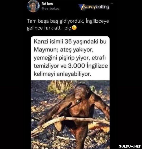 Bé kes @ez_bekez...
