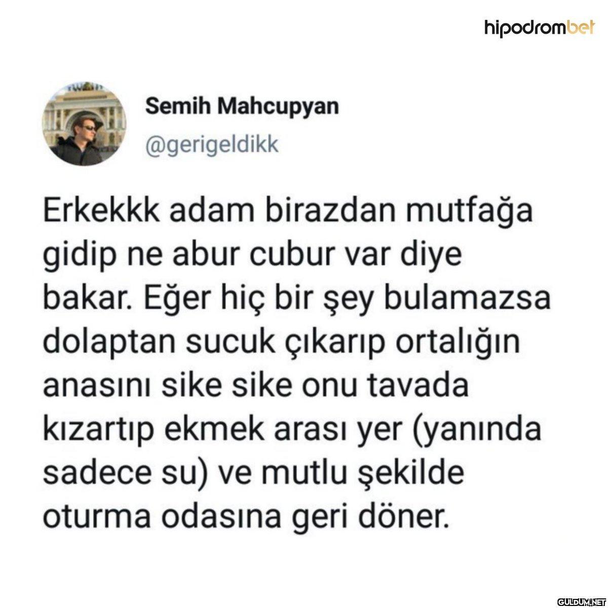 Semih Mahcupyan...