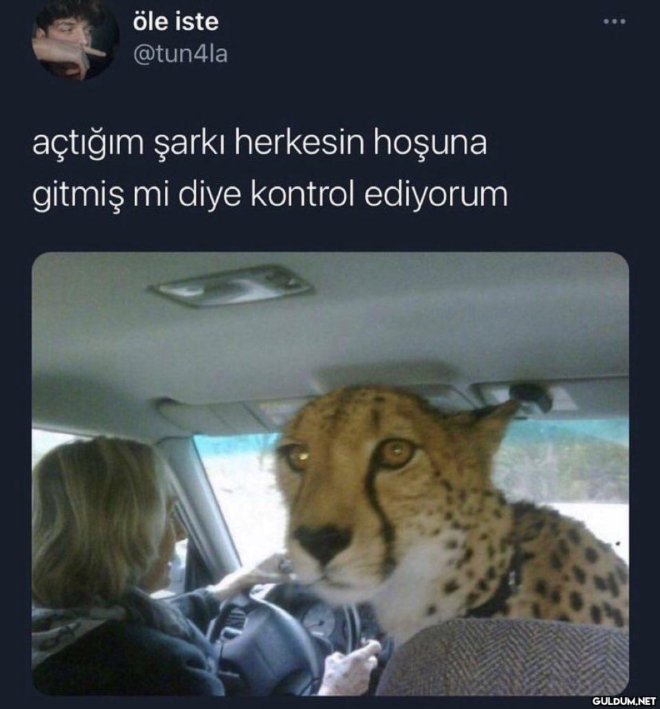 öle iste @tun4la açtığım...