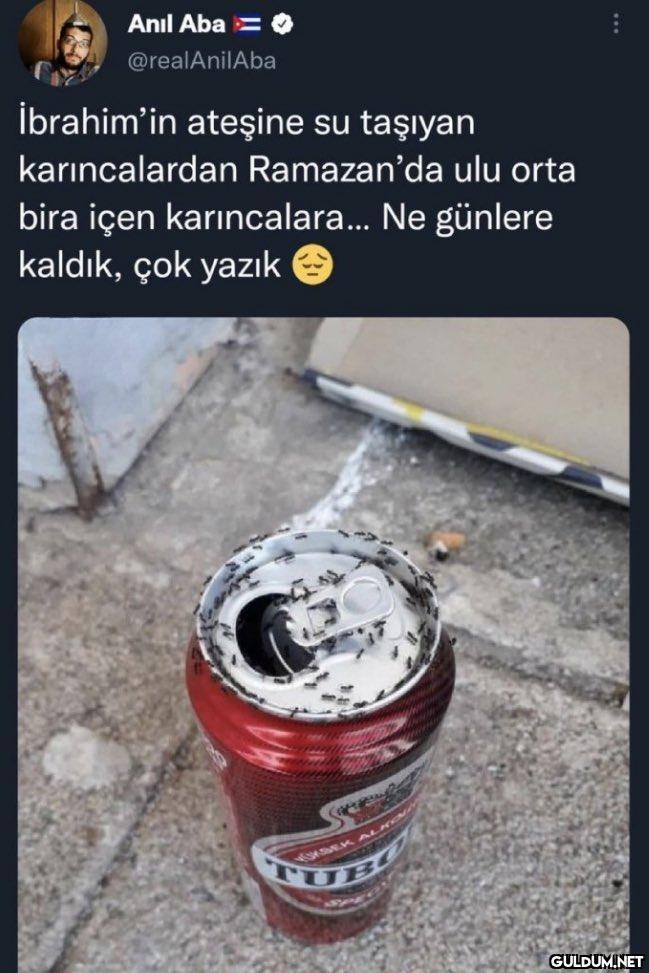 Anıl Aba @realAnilAba...
