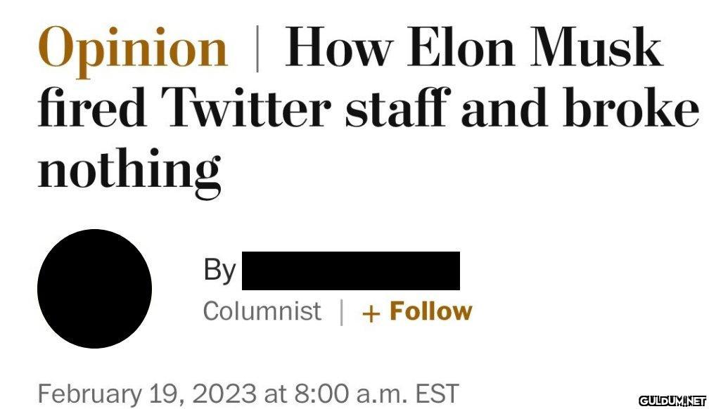 Opinion How Elon Musk...