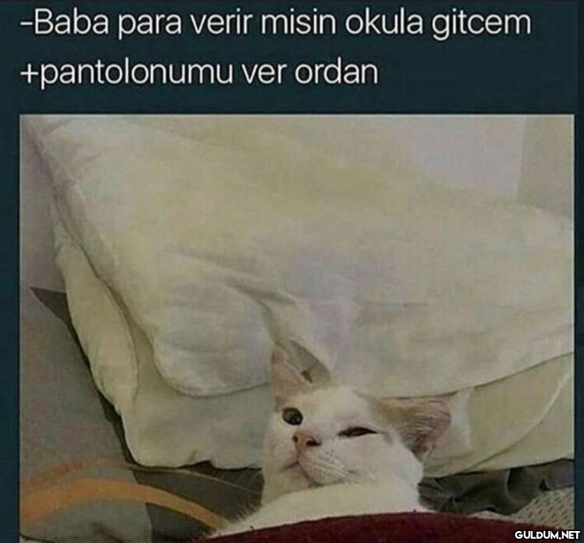 -Baba para verir misin...