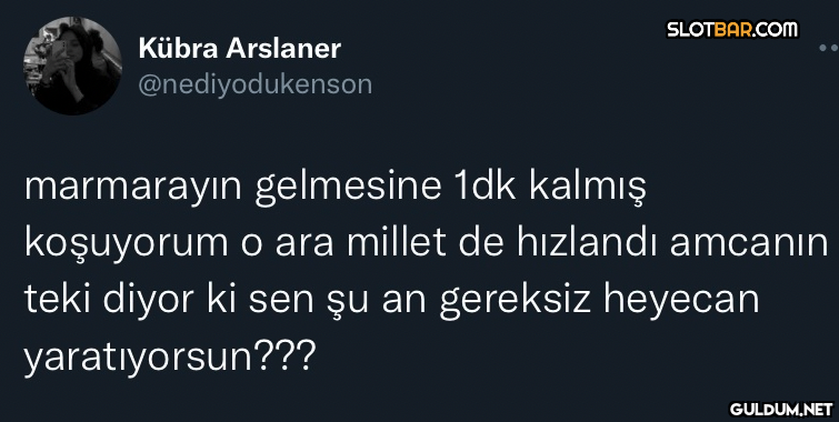 Kübra Arslaner...
