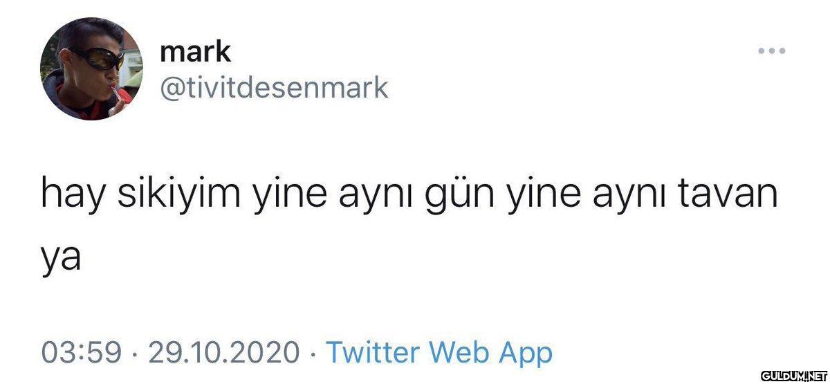 mark @tivitdesenmark . hay...
