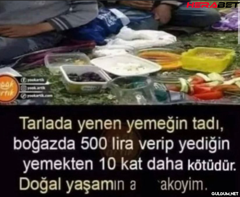 BAK rtik HERABET Tarlada...