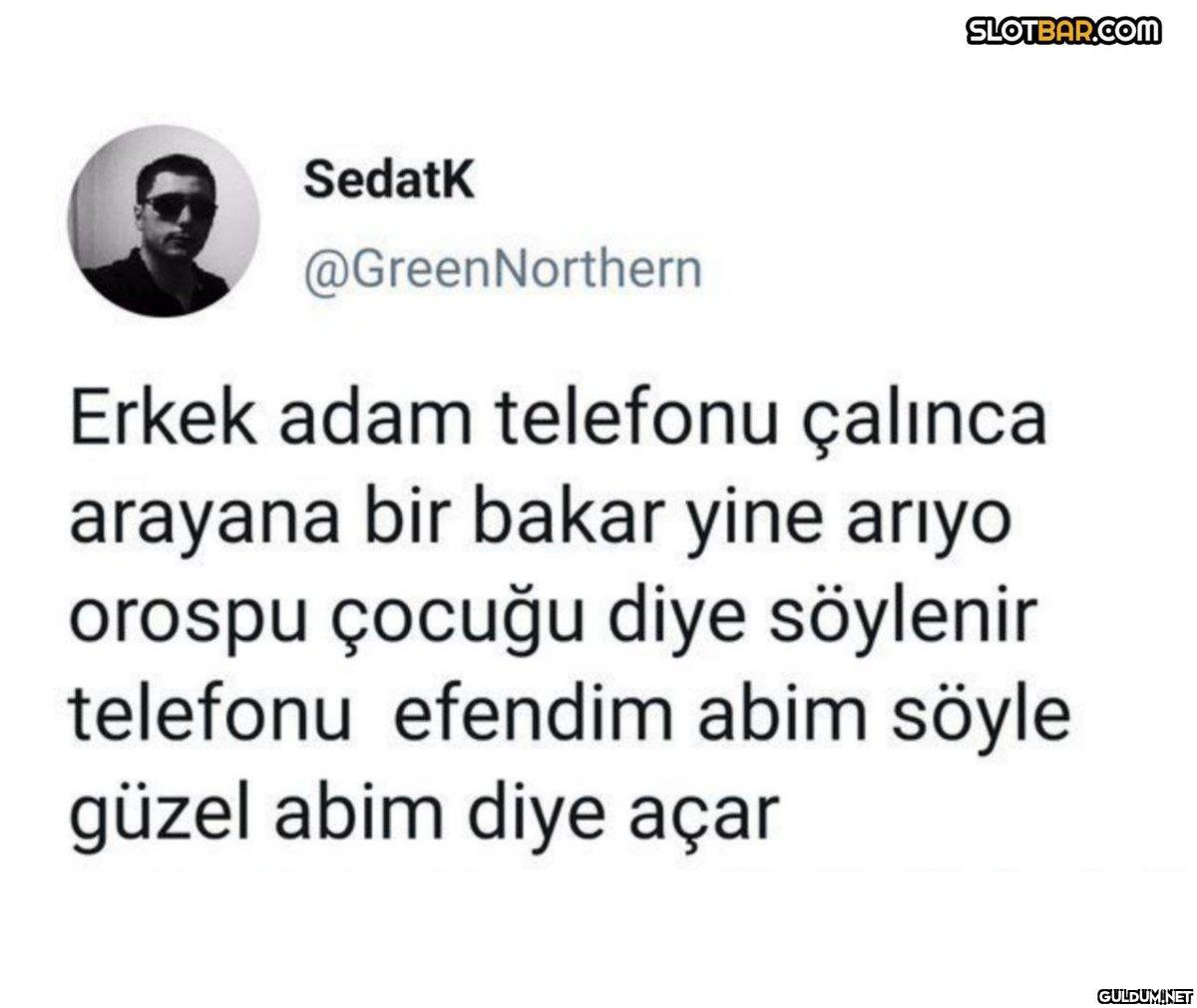 Sedatk @GreenNorthern...