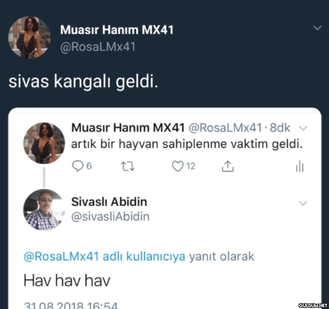 Muasir Hanım MX41...