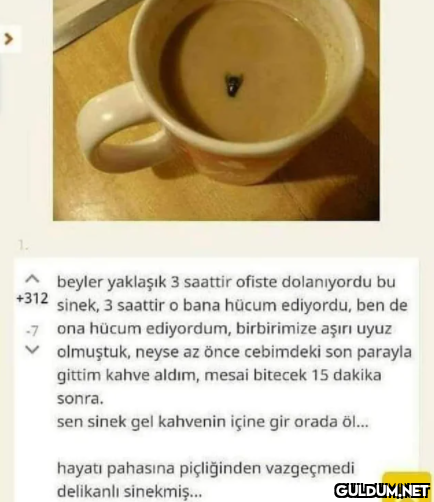 1. Abeyler yaklaşık 3...