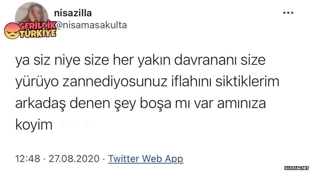 nisazilla...
