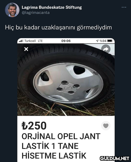 Lagrima Bundeskatze...