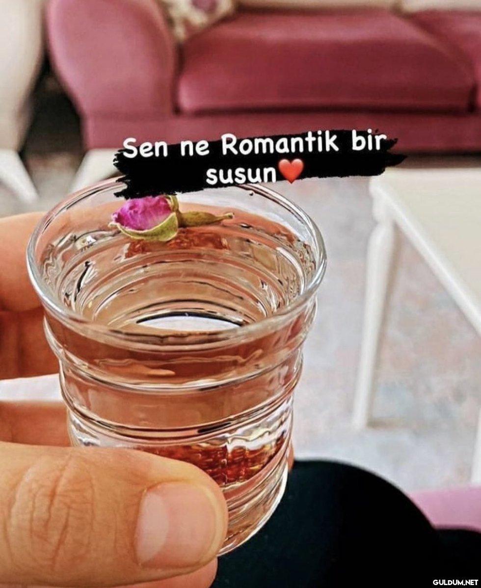 Sen ne Romantik bir susun   Kaynak