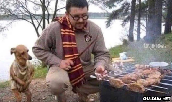 Efendisi Dobby'e kanat da...