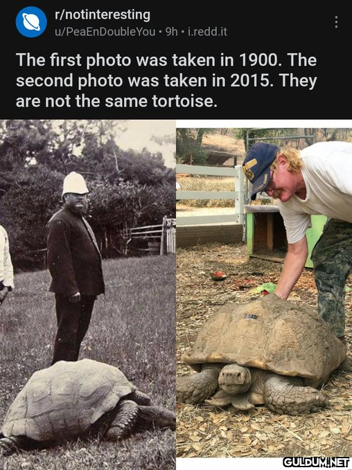 fact of the day :)...