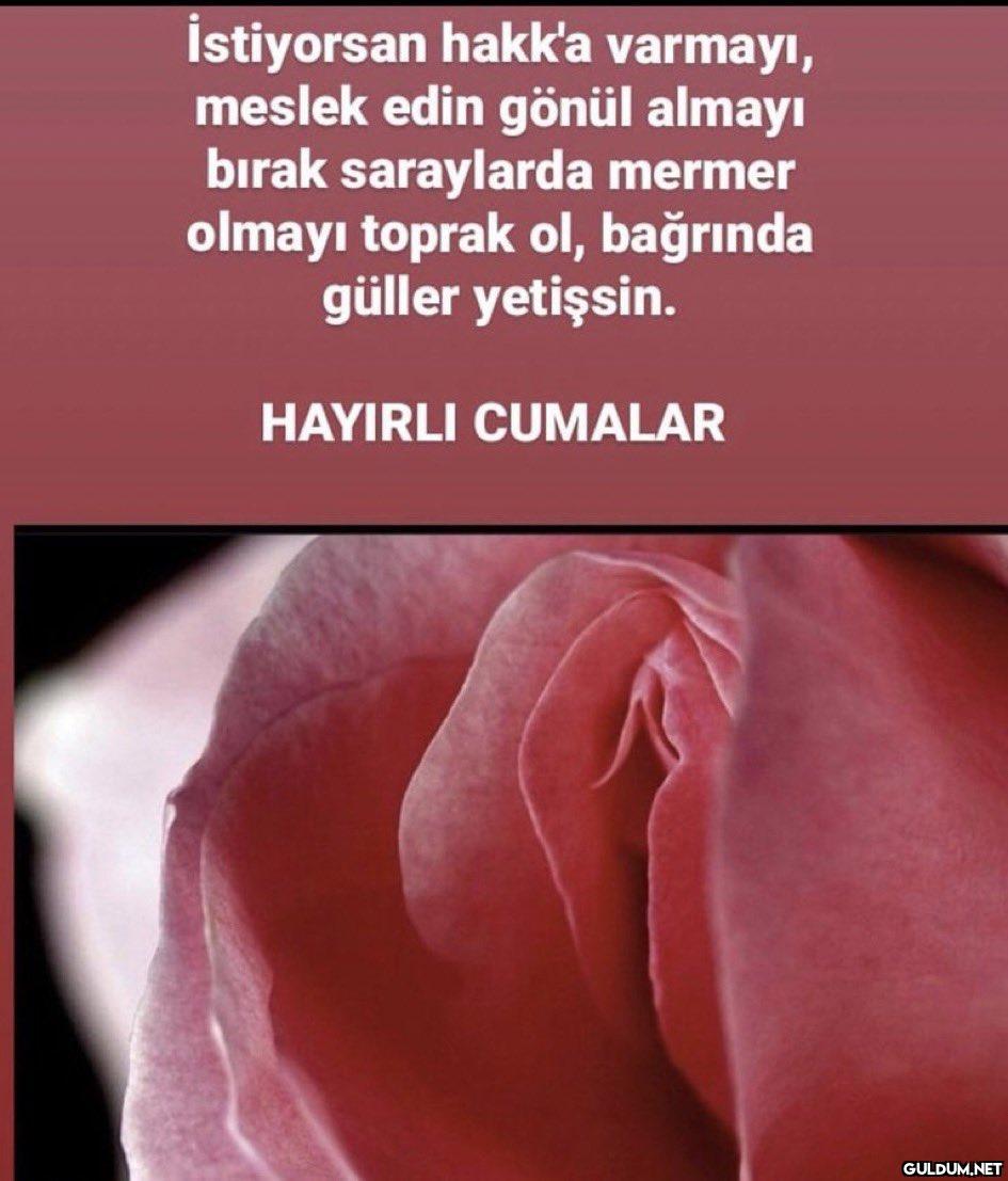 İstiyorsan hakk'a varmayı,...