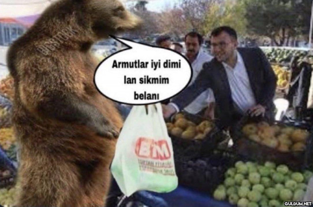 GSTOCK Armutlar iyi dimi...
