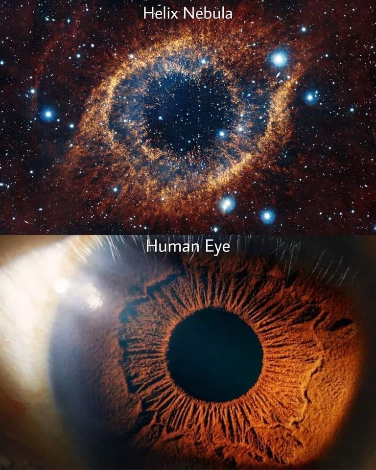 Helix Bulutsusu'nun göz...