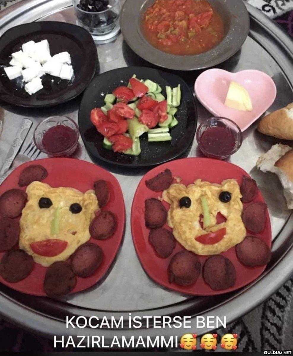KOCAM İSTERSE BEN...