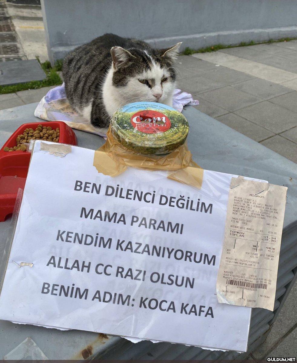 JAK NOWDRGUNDA DUGME...