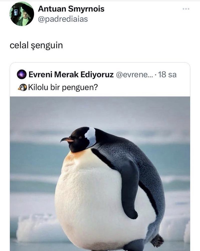 DJDJFLGKGKDS...