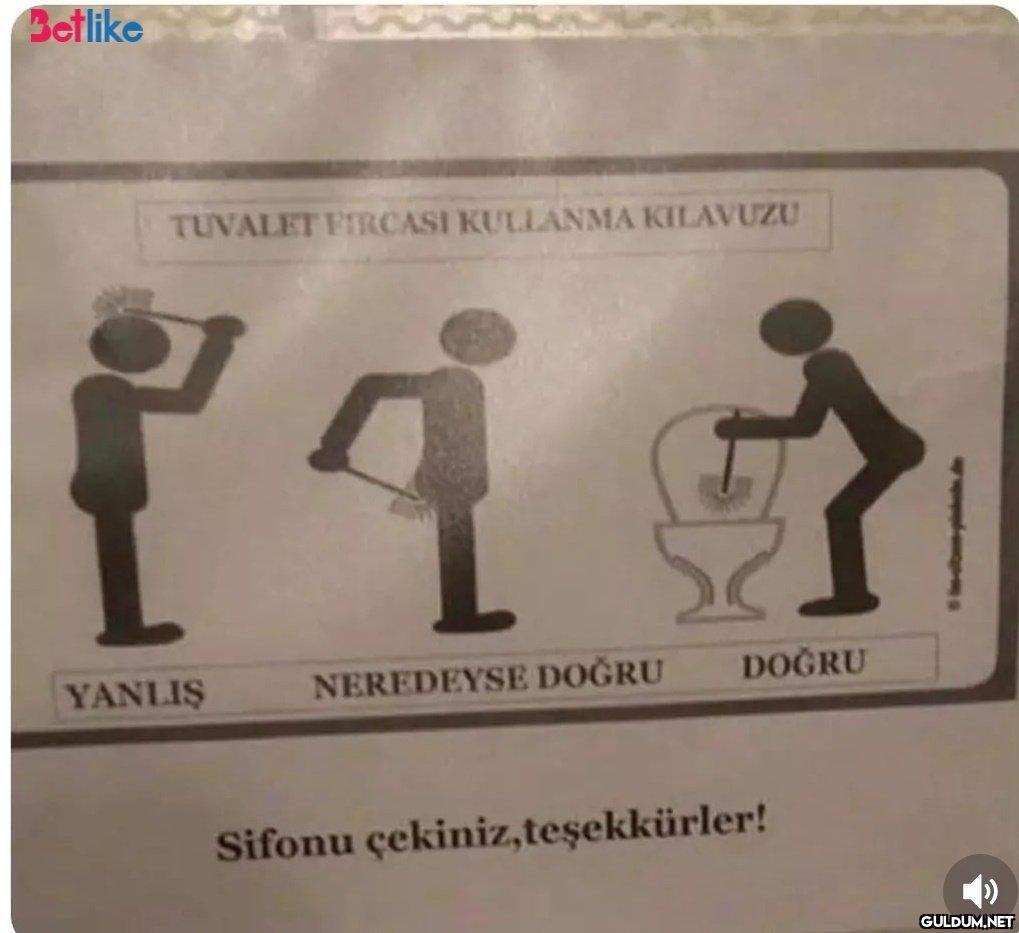 Bu kılavuzu asmaları için...