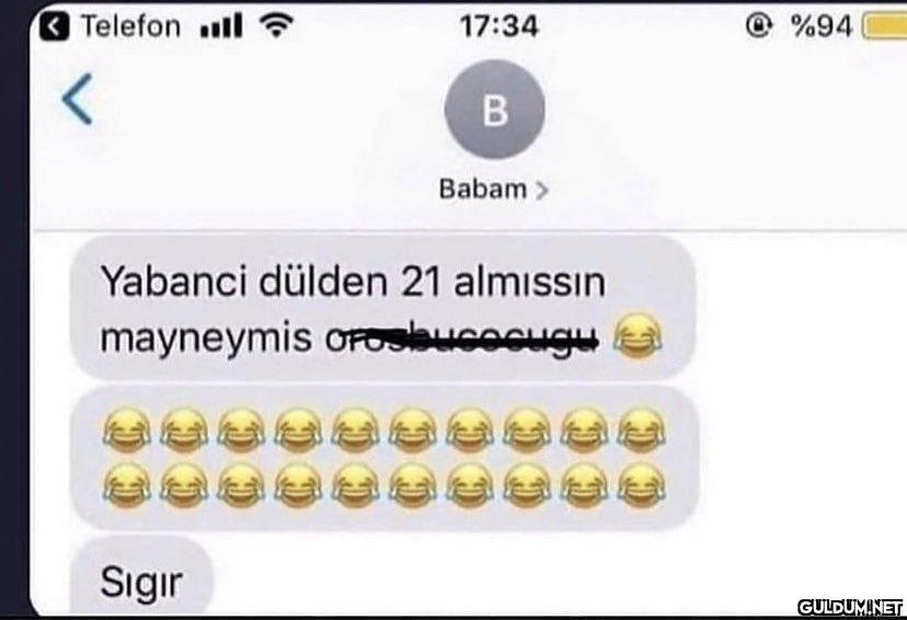 Telefon ll 17:34 Sigir B...